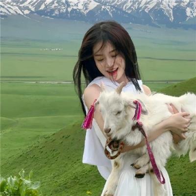 夏绿蒂的网